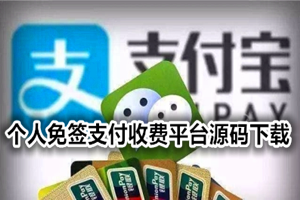 个人免签支付收费平台源码下载（免root、免xp框架）