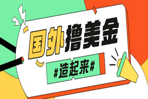 外面收费8千的撸美金项目：单日收入30美金（全套软件+教程）