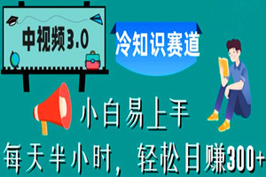 中视频赛道：每天半小时，轻松日赚300+（视频教程）