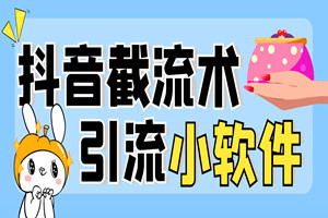 李佳琦79的眉笔给不了你的，抖音无限精准截留技术分享给你（全套软件+话术）