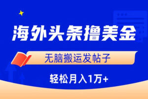 海外头条撸美金：无脑搬运发帖子，月入1万（全套教程）