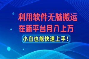 新平台无脑搬运：月入上万，小白轻松上手（全套资源）
