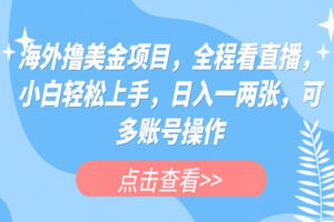 海外撸美金项目：长期可做，全程看直播，小白轻松上手，日入一两张，可多账号操作（全套软件+教程）